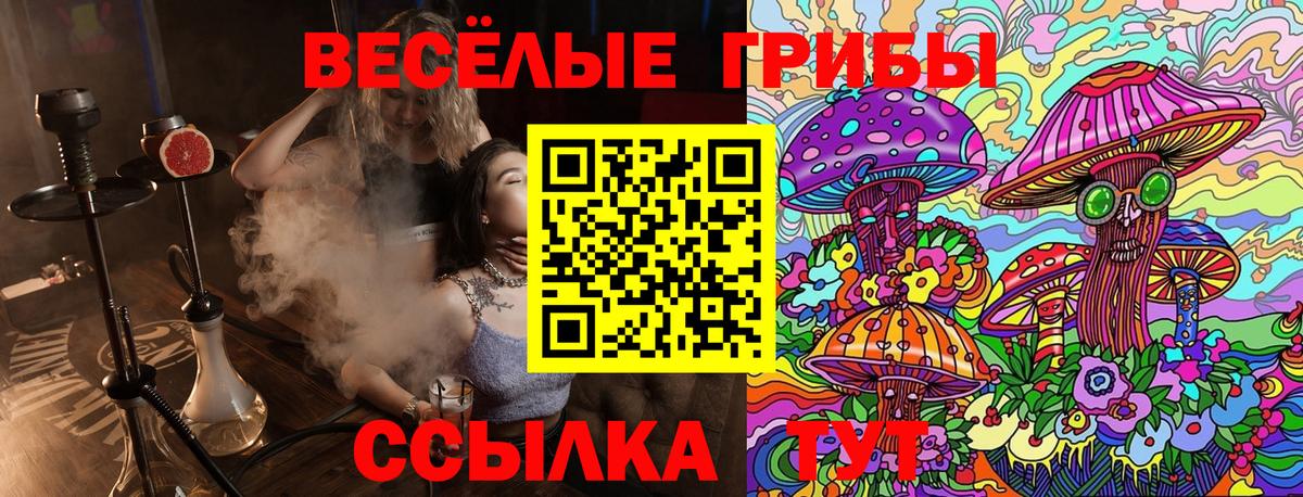 Псилоцибиновые грибы GOLDEN TEACHER  Галлюциногенные грибы Psilocybe  Воскресенск  Вход с VPN 